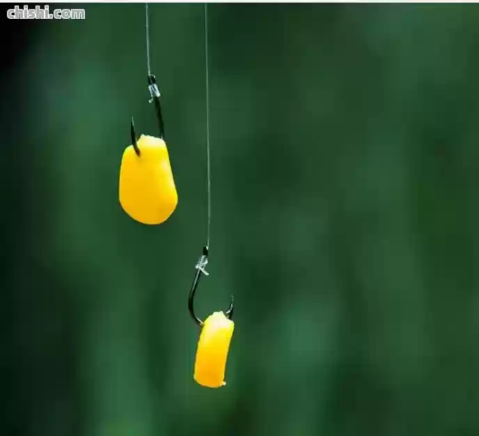 玉米钓草鲤鳊鱼：掌握这6招，助你攻略大鱼！