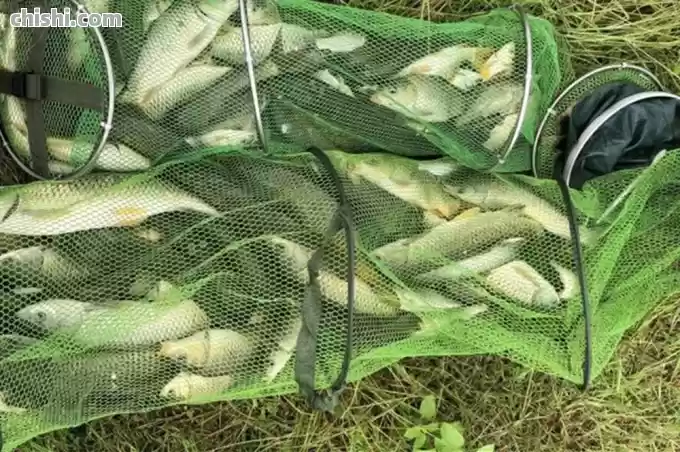 如何看出何处有鱼？方法有4个，成功率超9成